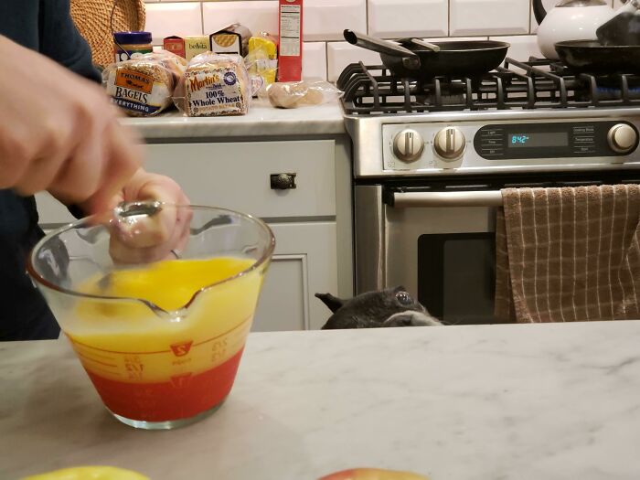 Sparta Hopes You're Planning On Sharing Those Scrambled Eggs