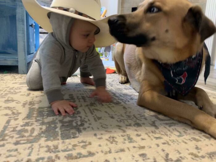 My Son And Dog