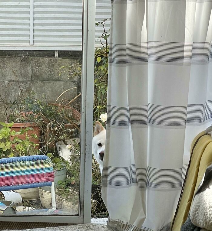 He Does This Every Morning