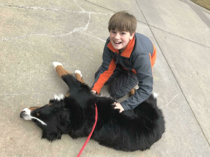 My Son Started Petting This Dog And When We Got Up To Leave The Dog Sat On His Feet And Rolled Over To Be Pet