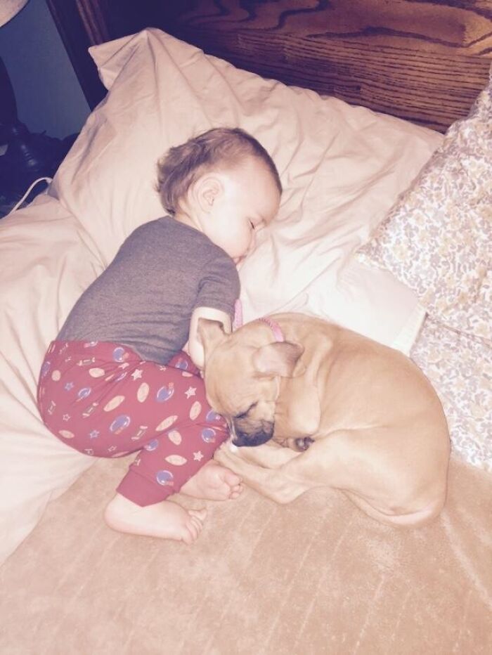 My Mother Recently Rescued This Pretty Girl