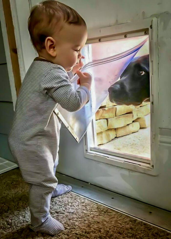 I Took A Picture Of My Son Looking For My Dog