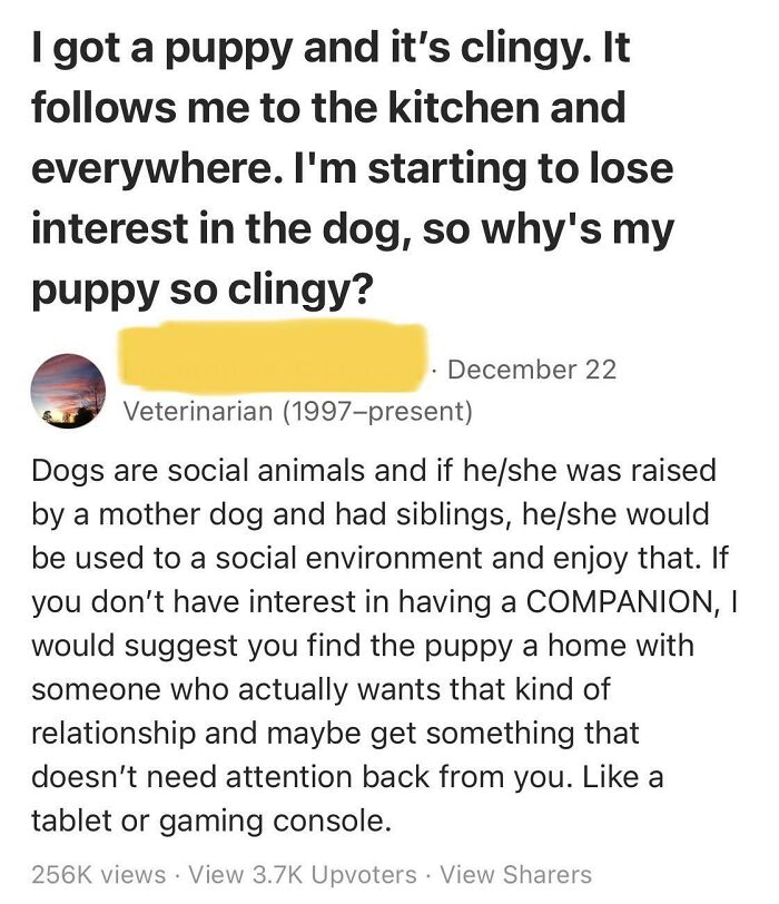Then Why Get A Dog?