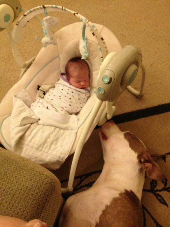 Just A Kid And Her Dog. No Big Deal