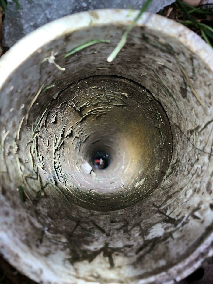 Well, Just Finished Building A LEGO Set With My Oldest Son. His Younger Brother Then Grabs Part Of The Set, Runs Outside, And Drops It Down The Sewer Vent