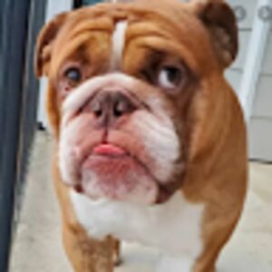 gabrielhernandez avatar