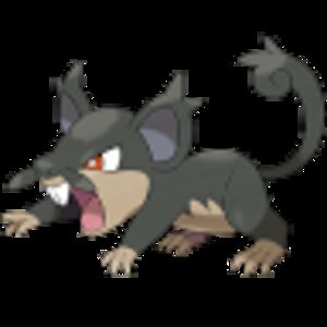 stellascarberry avatar