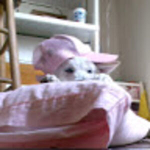 jamiyadonnelly avatar