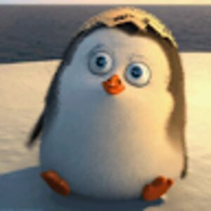 paytonswanner avatar