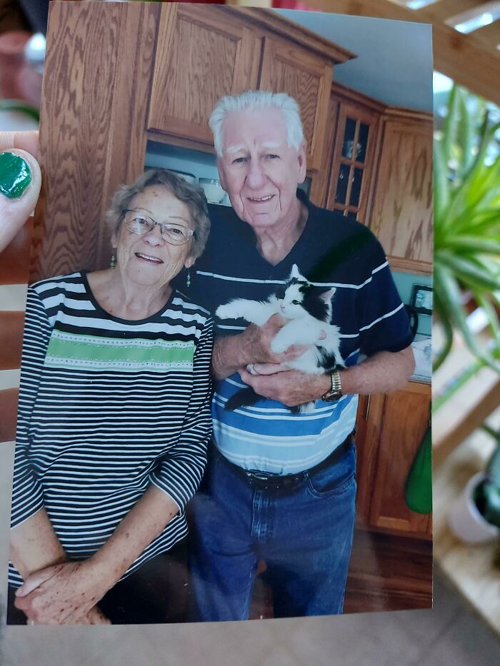 My Grandparents Adopted A Kitten And They Sent Me This Picture In The Mail