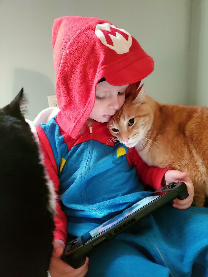 We Adopted These Two Cats The Year My Son Was Born, They've Grown Up Together And Now The Three Are Inseparable