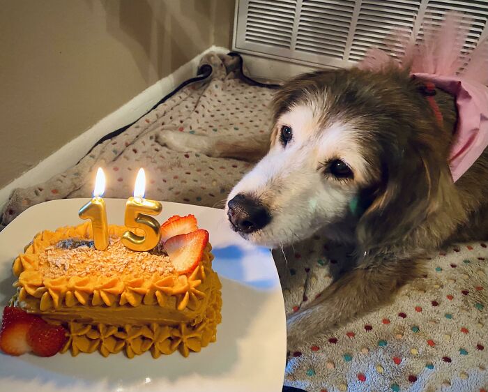 Happy 15th Birthday To My Best Friend