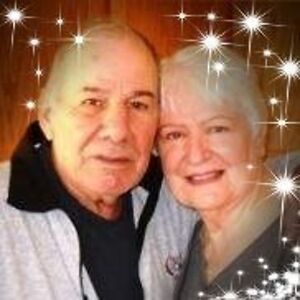 elaine_dimino avatar