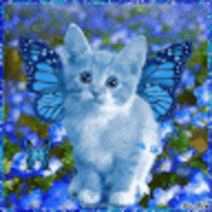 madisonwoodall avatar