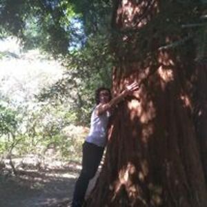 sylviefernandezuk avatar