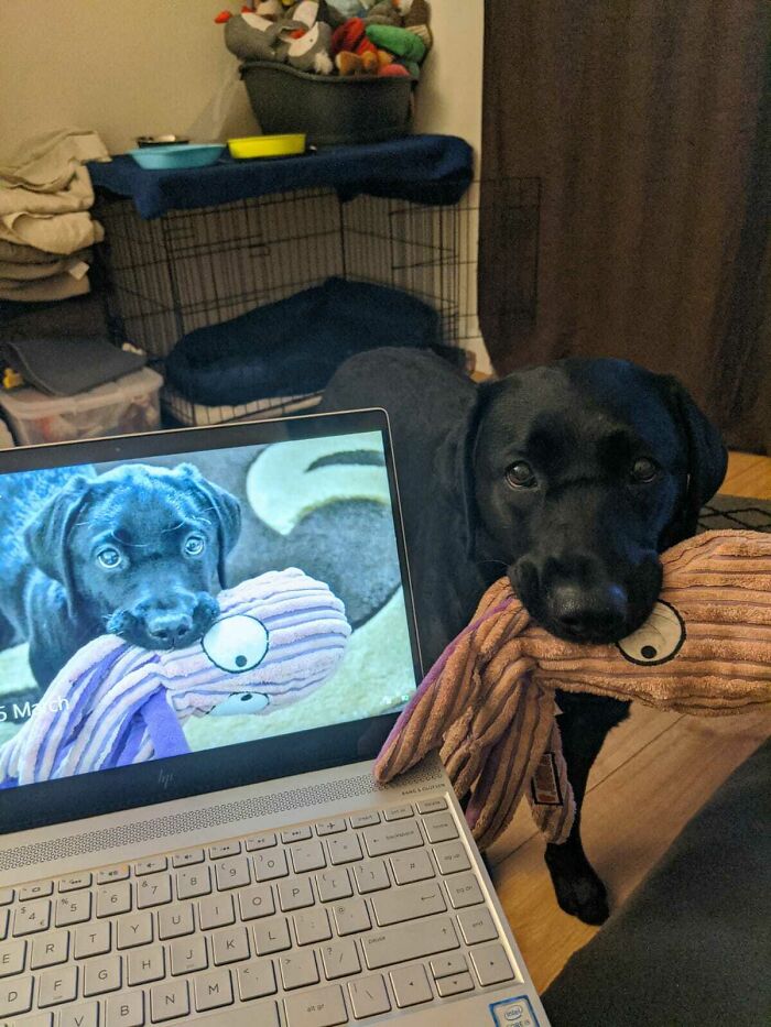 3 Months vs. 3 Years