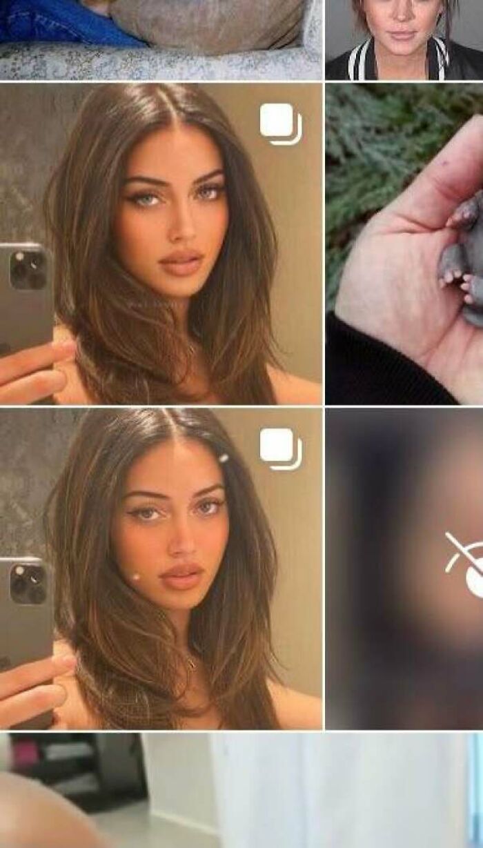 Laughing At How The Instagram Algorithm Put These Two Photos Right Next To Each Other On My Explore Page