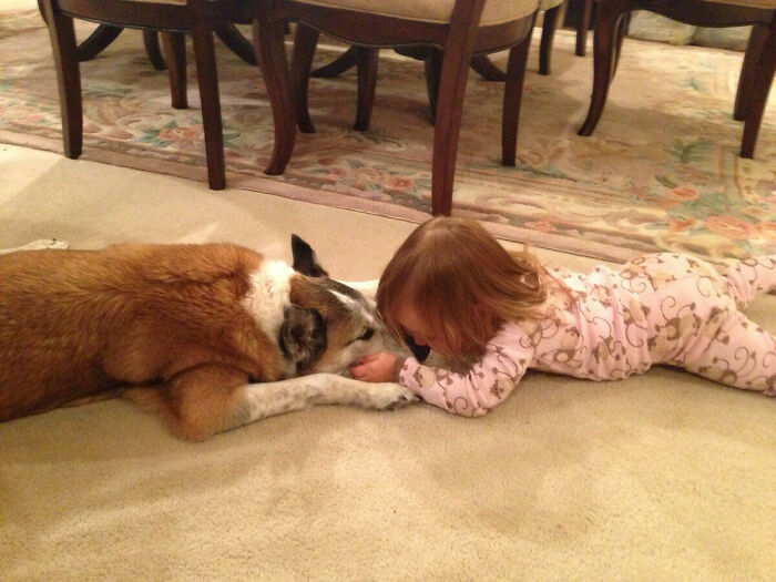 My Niece Rarely Gets To Come By To See My 14-Year-Old Dog, Bernie