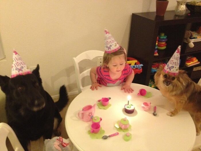 My Niece Has Better Birthday Parties Than I Do