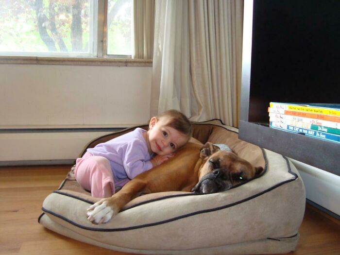 Niece Cuddled With Dog
