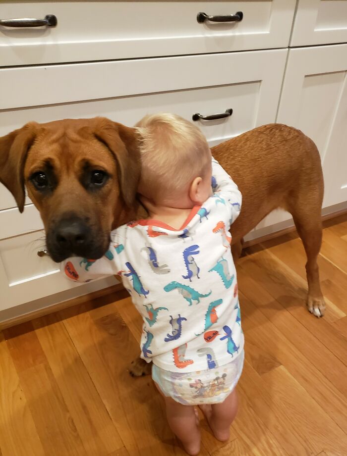 Concerned Puppy Tolerates Baby Hugs