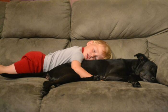 My Nephew And His Favorite Sleeping Buddy