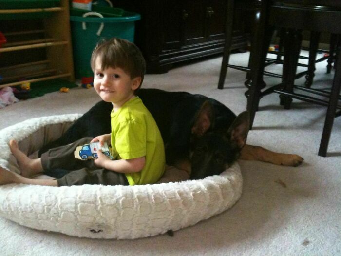 My Nephew Tested On The Spectrum For Autism. This Is His New Best Friend And Therapy Dog