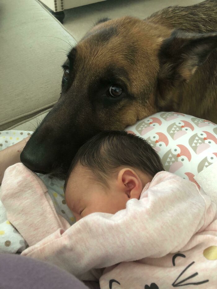 He Loves His New Baby Sister. Such A Good Boy