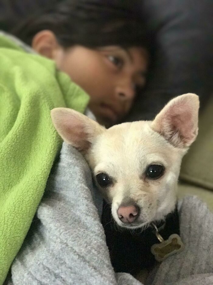 Sick Daughter And Her Dog Nurse