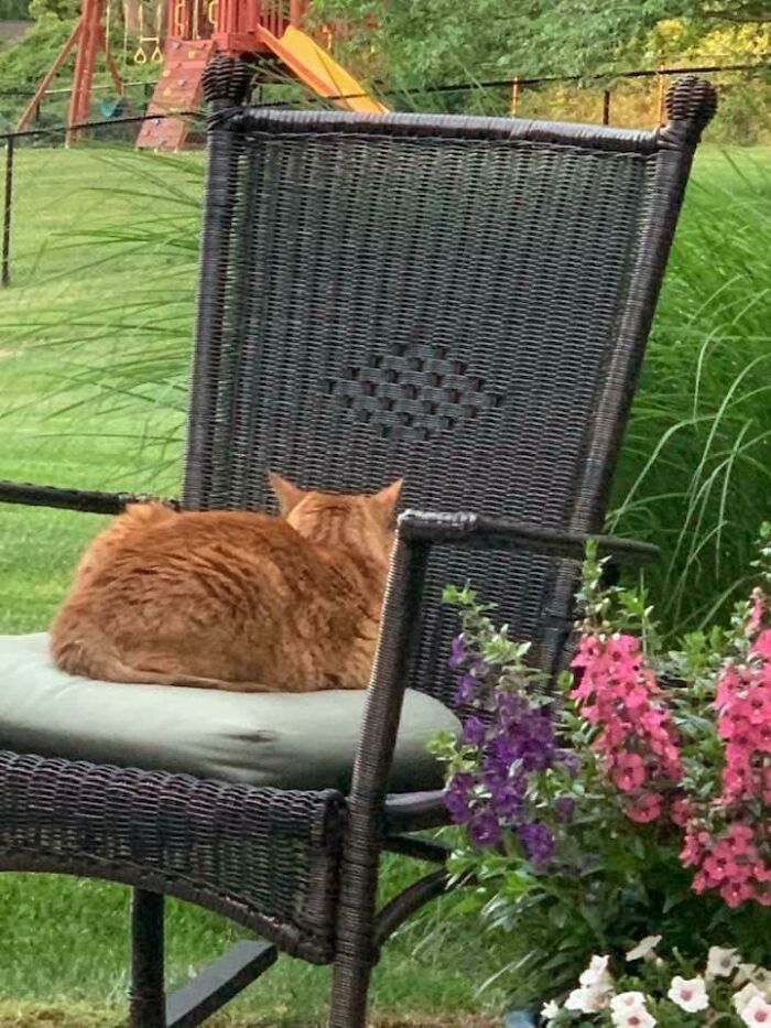 Hates Nature And Scenery