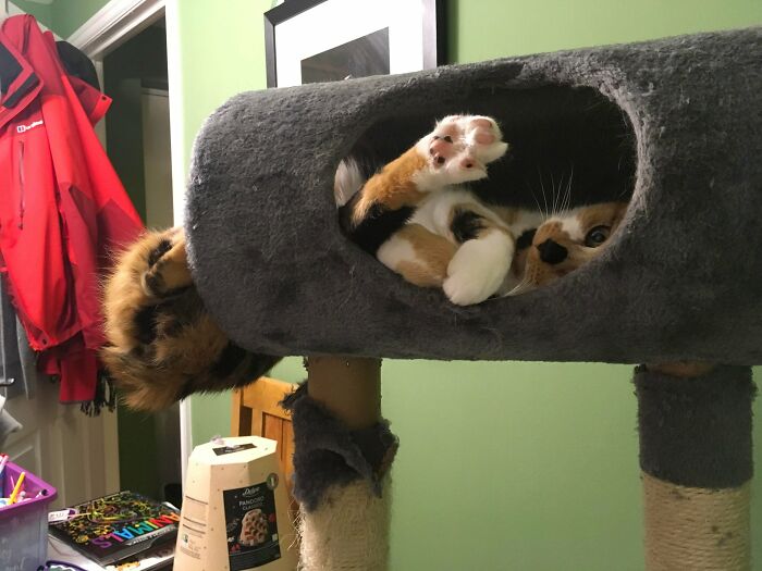 She Eventually Did Fall