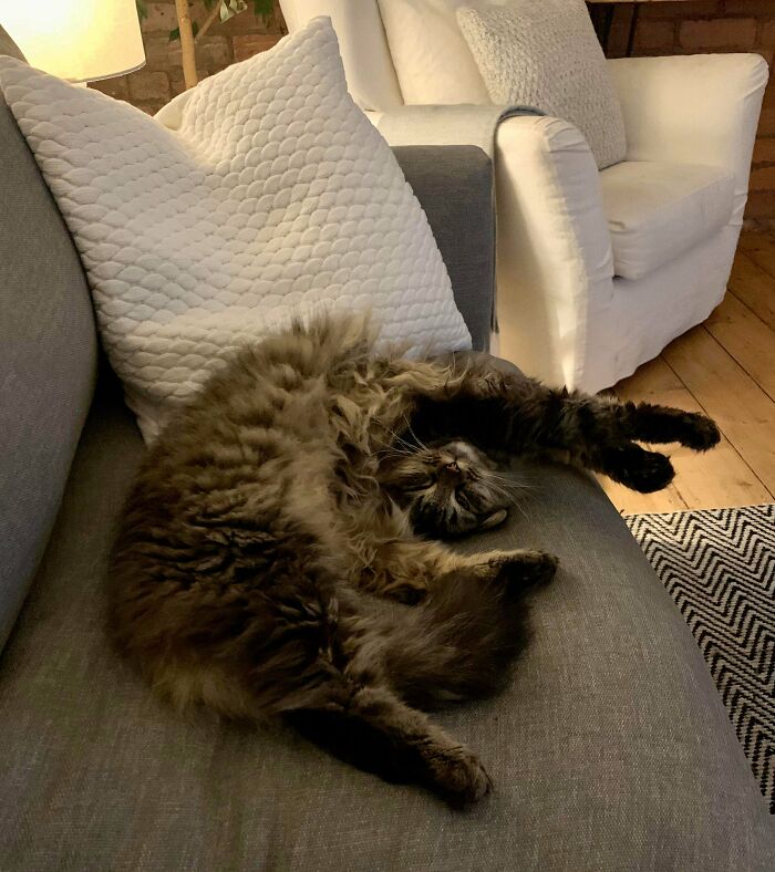 I Think She May Have Beheaded Herself