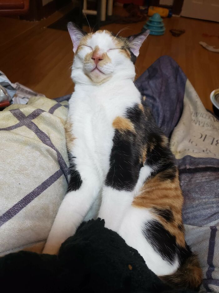 I Don't Know How She Sleeps Like This