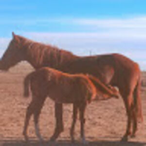 welcomewelcome avatar