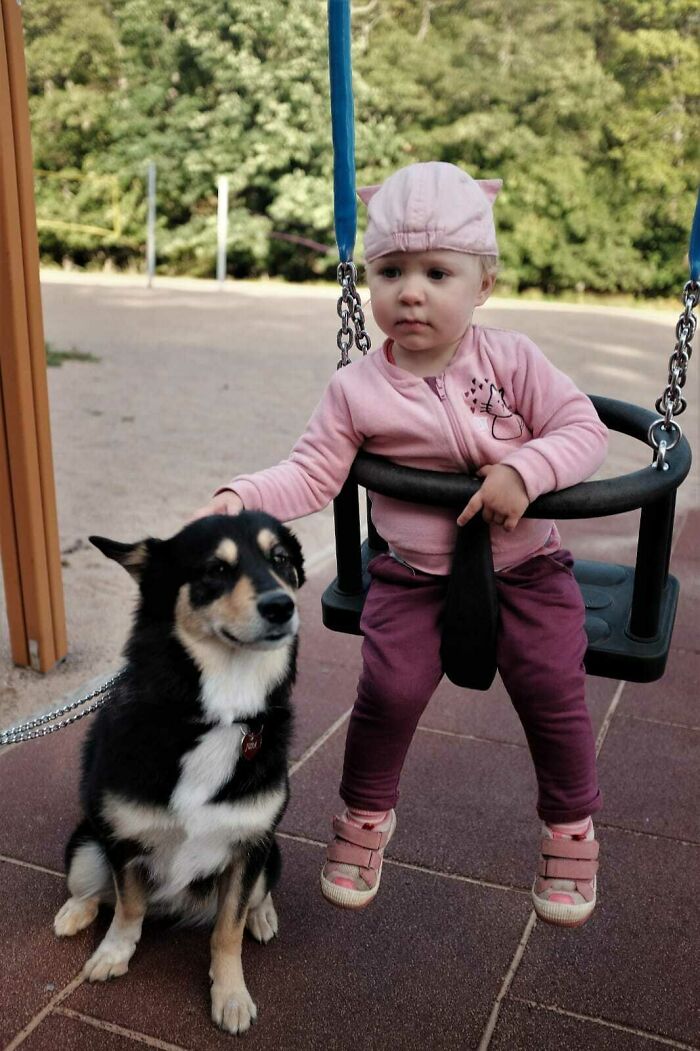 Had To Leave My Dog With A Friend For The Week, Was Worried Because She Has Not Been Around Many Babies. Apparently Nothing To Worry About As He Sent Me This