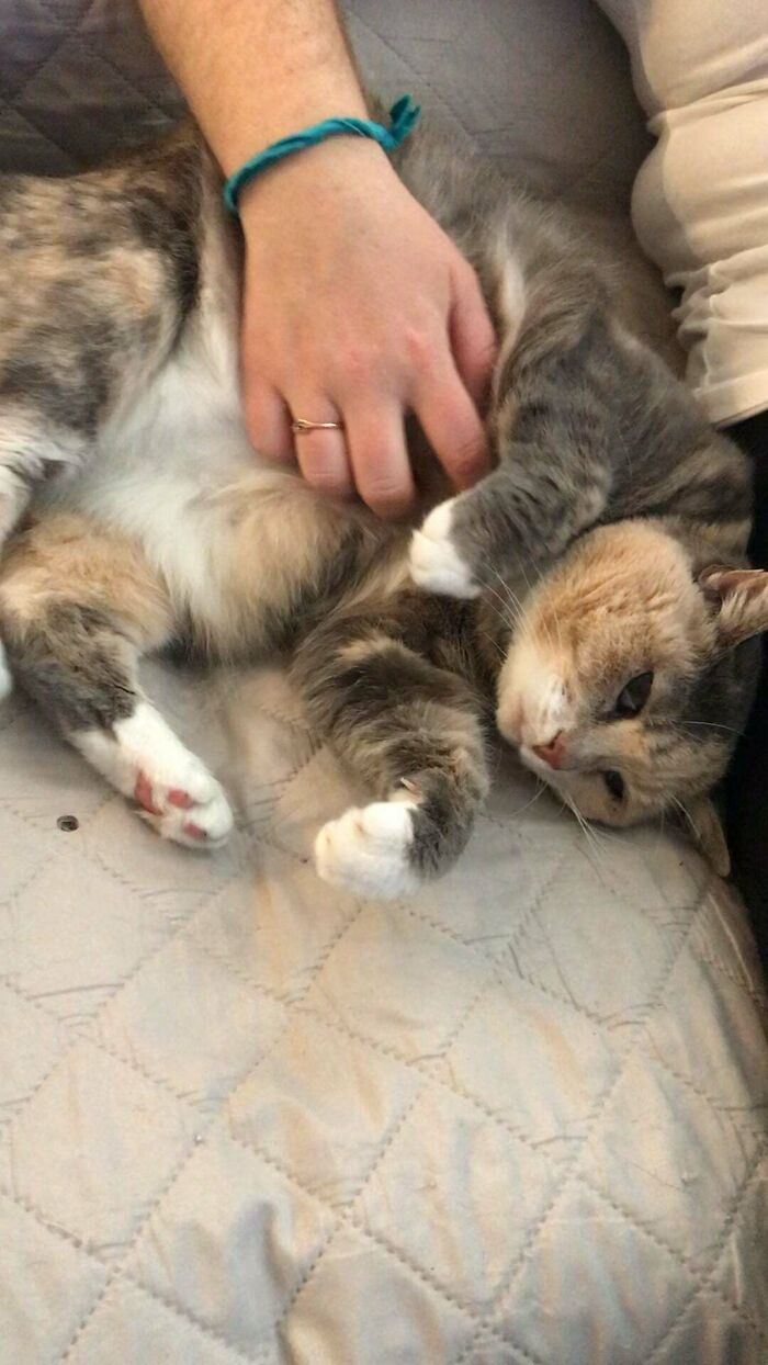 10yr Old Lady My Fiancé Adopted. Her Name Is Peach But She’s My Little Squish