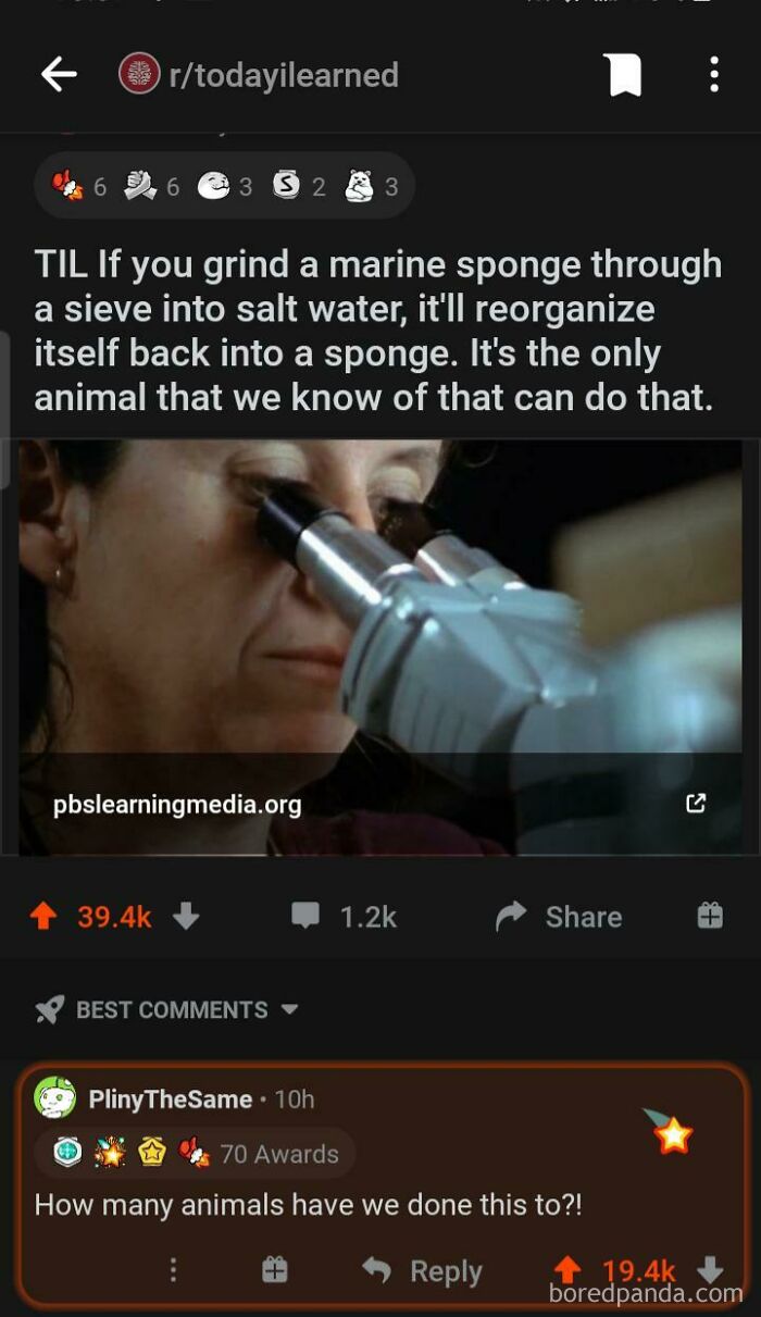 Cursed_experimentation