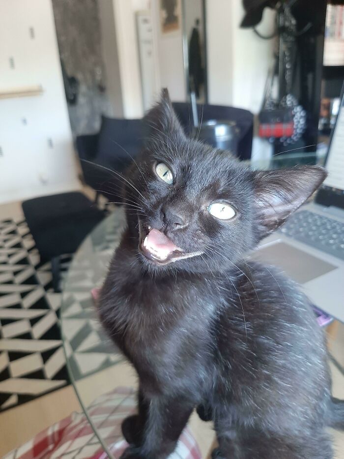 Guess She's Happy I Adopted Her