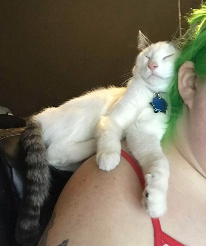 Just Adopted This Little Guy From The Animal Shelter. He Seems Happy