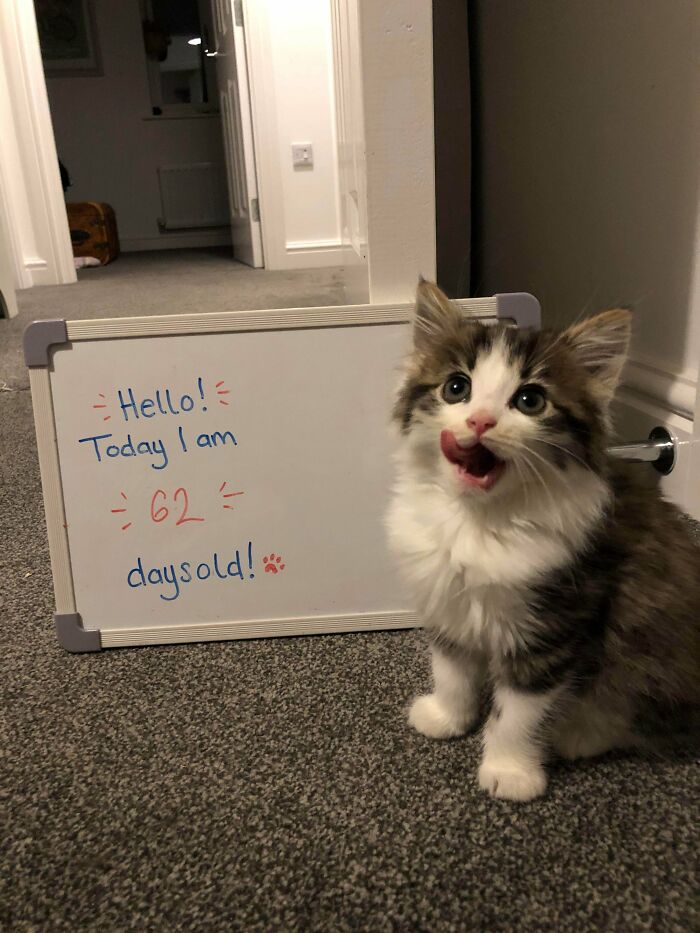 Soon To Be Ageing Out Of The Juvie System, Its Big-Time Jail For This Criminal