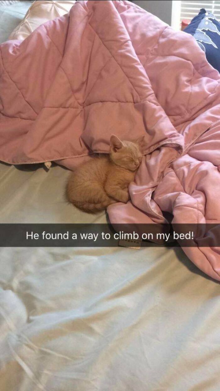 Now He Never Leaves The Bed