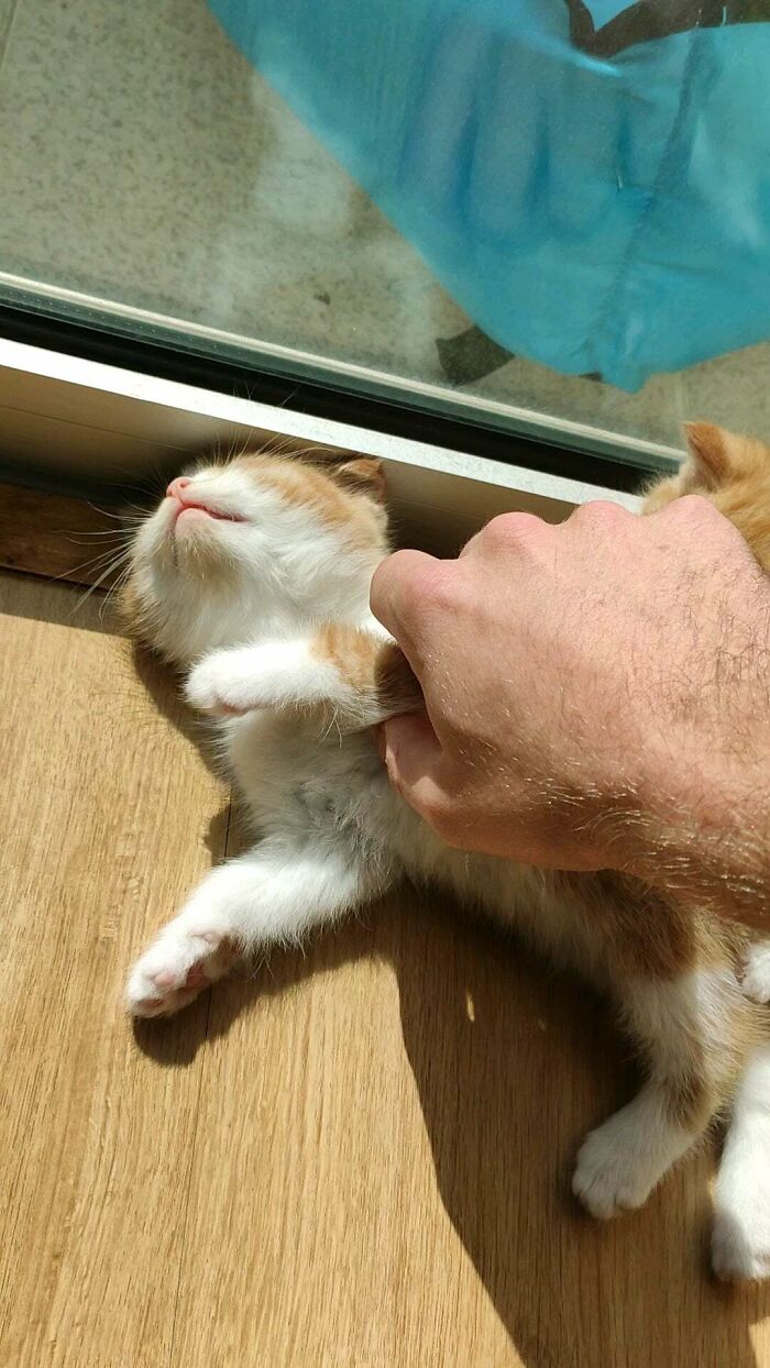 I Think You'll Enjoy The Sunbathing In Jail, You Criminals