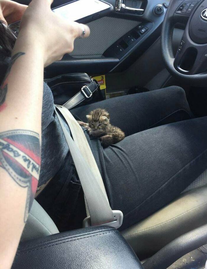 On Her Way To Be Rescued After Mama Abandoned Her For A Couple Of Days