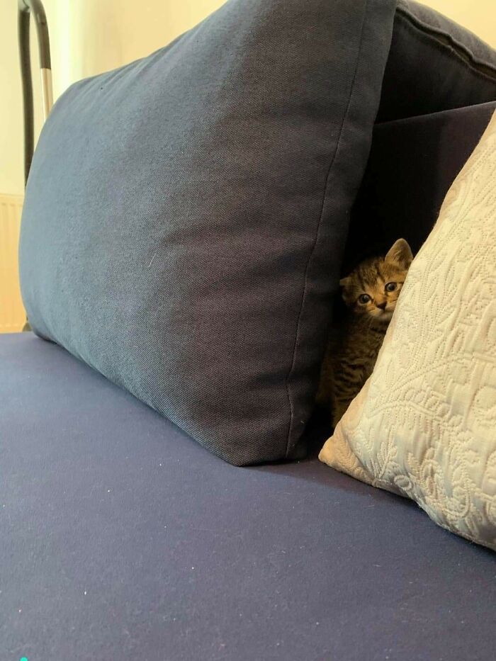 Hiding From The Authorities