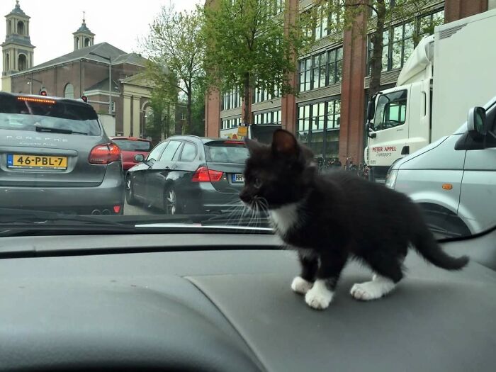 I'm Glad We Didn't Get Caught