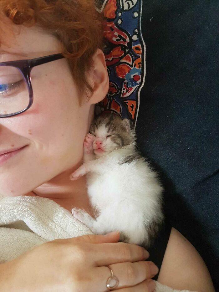 Dotty The Illegal Construction Site Intruder