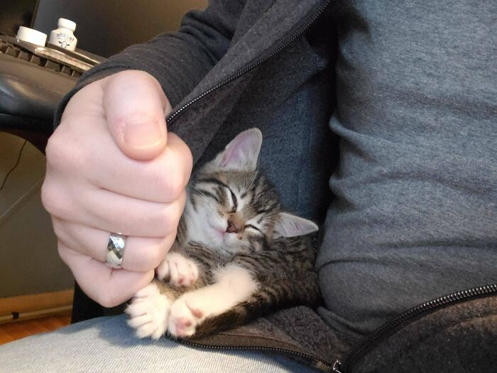 I Have A New Office Partner. His Name Is Thicc Charlie