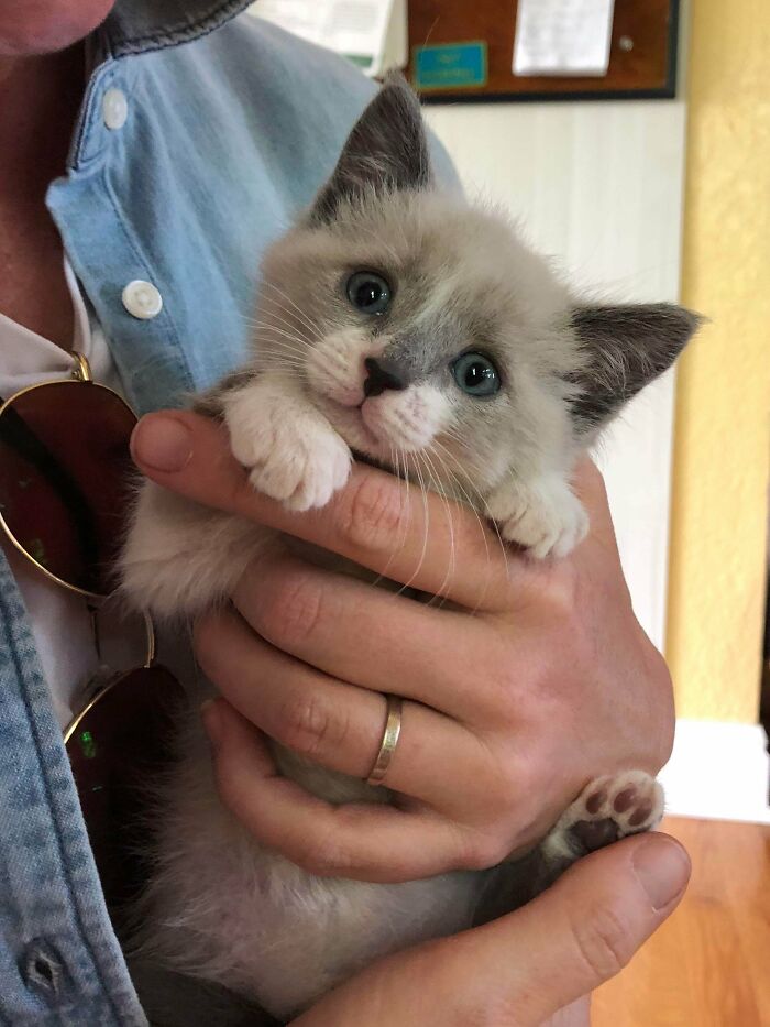 Little Elizabeth Before She Came Home With Us (Bonus Toe Beans!)
