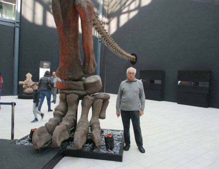 Argentinosaurus vs. A Man