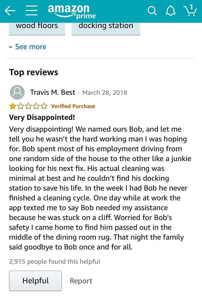 Rip Bob, The Little Roomba That Couldn't